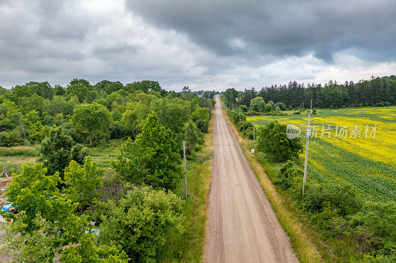 鸟瞰油菜籽田和乡村道路，Bradford West Gwillimbury，加拿大